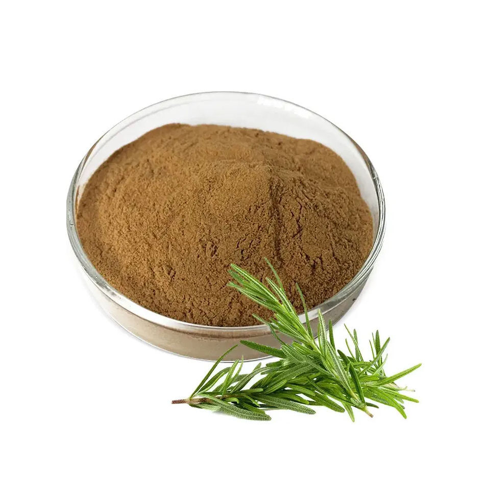 Buy Wholesale Canada Hot Sale Rosemary Extract Powder Organic Rosemary Extract Leaf Extract
