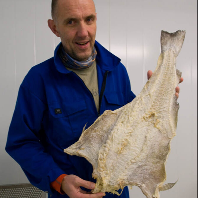 Buy Wholesale South Africa Norwegian Clipfish / Salted And Dried Cod