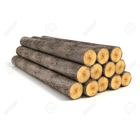 Buy Wholesale Canada Cheap Pine Wood Logs/ Timber Wood Logs/ Eucalyptus  Wood Logs/birch Wood Logs u0026 Wood at USD 300 | Global Sources
