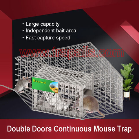 https://p.globalsources.com/IMAGES/PDT/B5757530157/Mouse-Trap.jpg