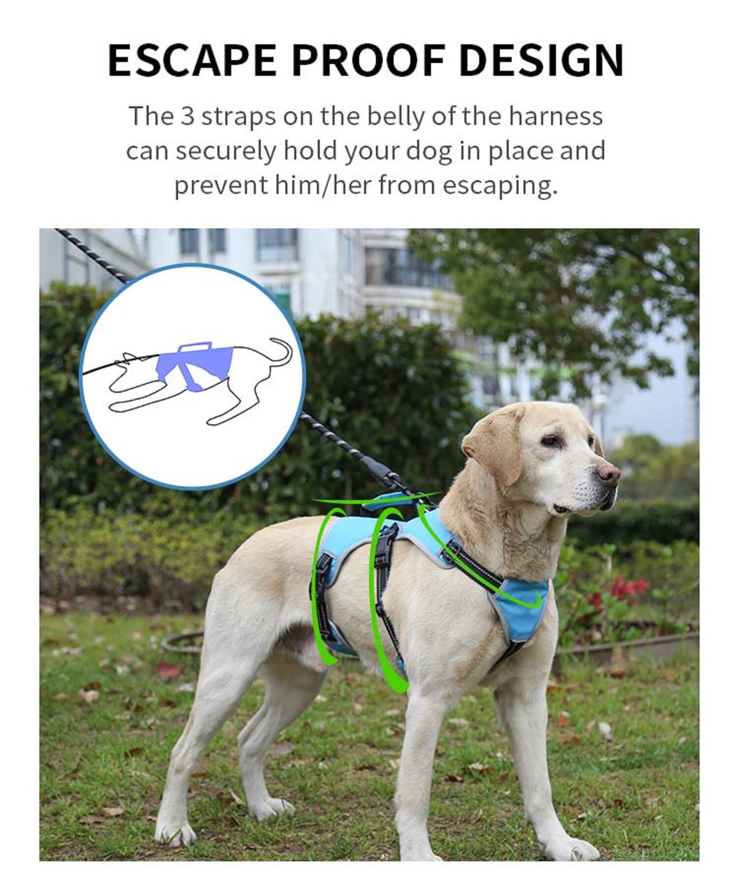 Reflective Adjustable Escape-proof Big Dog Harness, Personalized