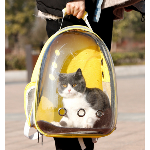 https://p.globalsources.com/IMAGES/PDT/B5758280716/Cat-breathable-bag.png