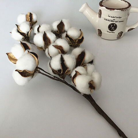Boule de coton - Fleur de coton vendu par 10 unités
