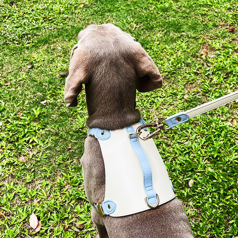 Dog harness hot sale suppliers