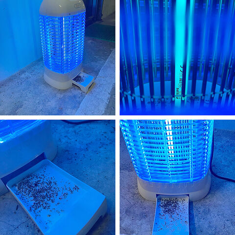 Tueur d'insectes électrique, Moustique tueur d'insectes, Lampe piège à  insectes, Alimenté par USB, Lampe anti-moustique avec lumière UV Pas de  rayonnement Piège à insectes Lampe à moustiques