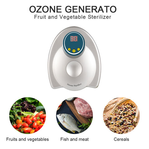 Mini Multifunction Ultrasonic Fruit Vegetable Cleaner with Ozone for  Homeuse - China Fruit Vegetable Purifier and Fruit Wash Machine price