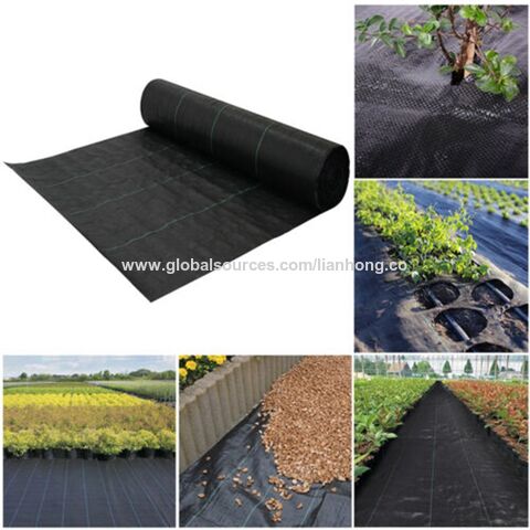 Compre Cubierta De Tierra De Plástico Negro De Plástico Agrícola, Estera De  Hierba Para Invernadero, Barrera De Malezas En Shandong y Jardín de China  por 1 USD