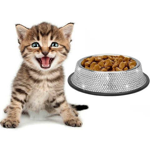 Pet Bowl Food Water Feeder Dog Cat Puppy Small Animals Eating Bowls Round  Dish