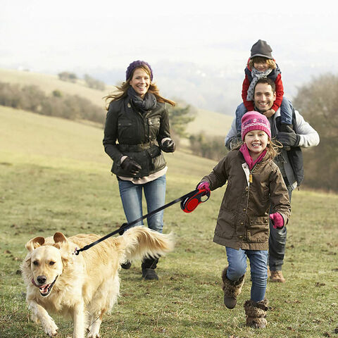 Laisse pour chien réfléchissante Sport Joy Plus