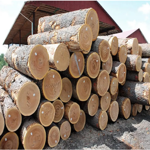 Round Timber Wood POPULAR WOOD LOGS, for Furniture at Rs 400/cubic