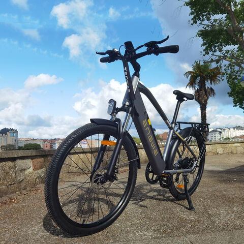 Bottecchia Bici Elettrica Telaio City Bike Alluminio Buy China