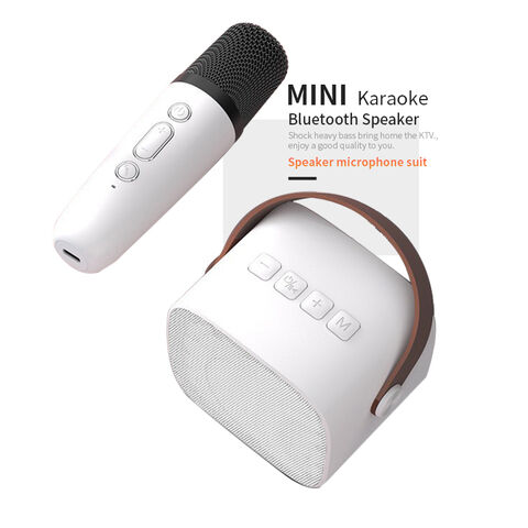 Compre Fabricante Profesional, Altavoz Recargable Ampliamente Compatible  Con Micrófono Inalámbrico 2 En 1 Familiar Ktv De Audio Para Fiestas Al Aire  Libre y Altavoz Recargable Con Micrófono Inalámbrico de China por 12.3