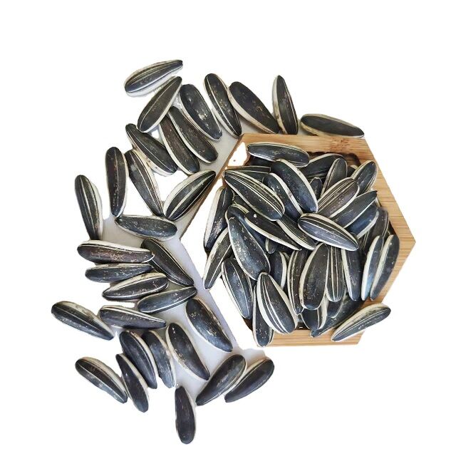 Buy Wholesale Canada Top Quality Sunflower Seeds 361 Sunflower Seeds