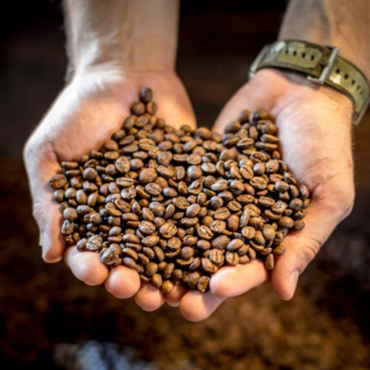 Vietnam High Quality Arabica / Robusta Coffee Bean Green Coffee Roasted