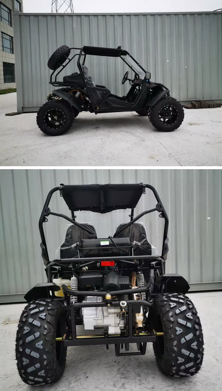 300cc Flexible Reliability Off-road Buggy Gasoline Go Kart