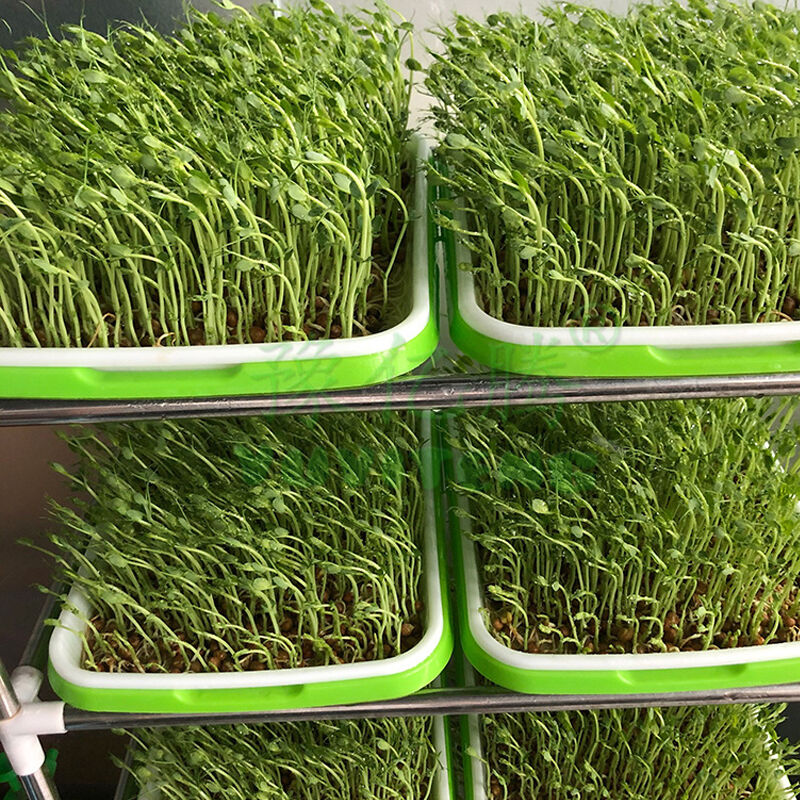 Buy Wholesale China Wholesale Germination Sprouting Trays Microgreens ...