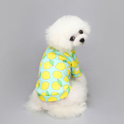 Wholesale Pet Supplies New Summer Spring Pet Dog Clothing Breathable Pet  Clothes - China Pet Clothes and Dog Clothing price