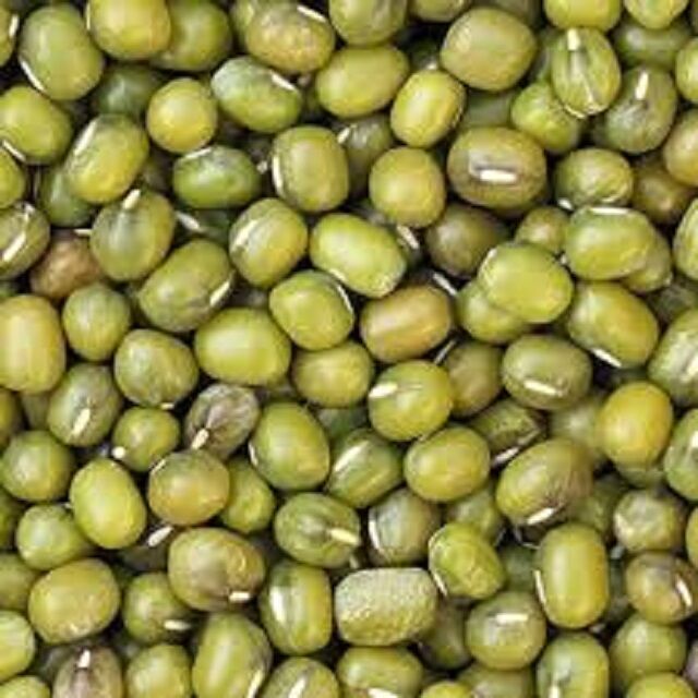 Buy Wholesale United Kingdom High Quality Wholesale Green Mung Beans