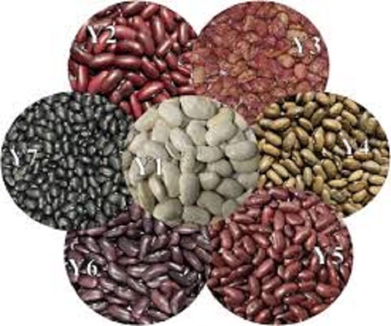 Buy Wholesale United Kingdom Nongmo Red Kidney Beans And Red Beans