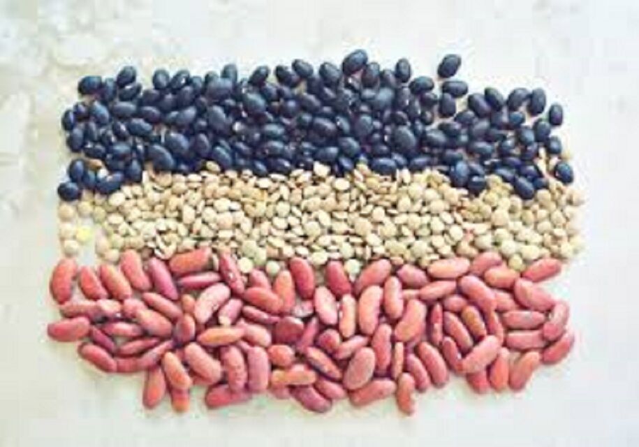 Buy Wholesale United Kingdom Nongmo Red Kidney Beans And Red Beans