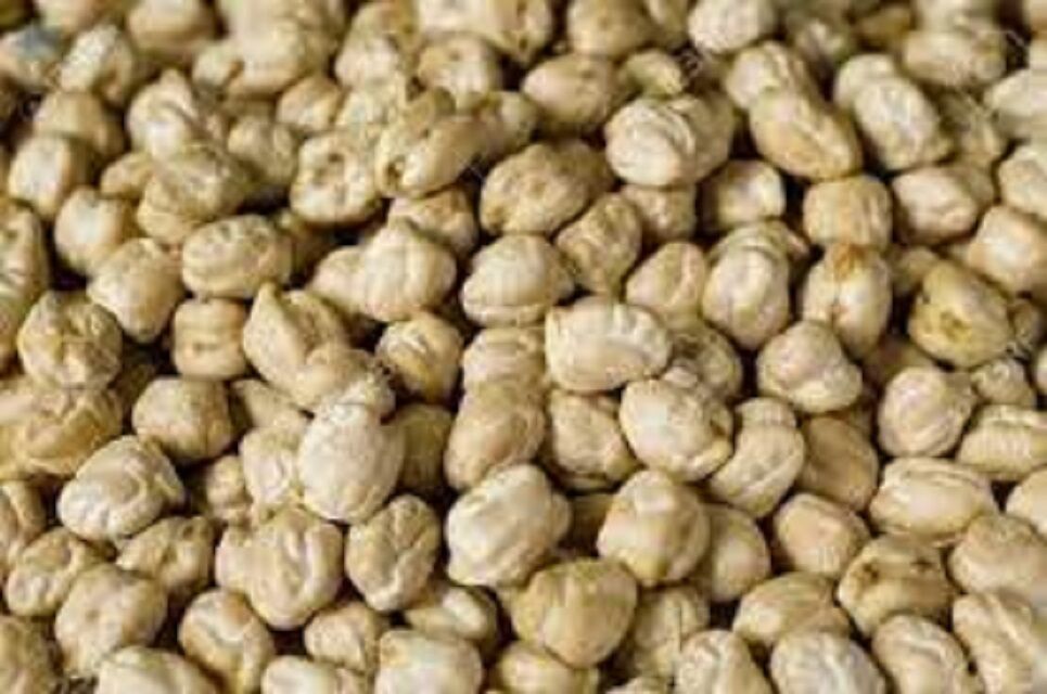 Buy Wholesale United Kingdom 7mm 14mm Kabuli Chickpeas Desi Chickpeas