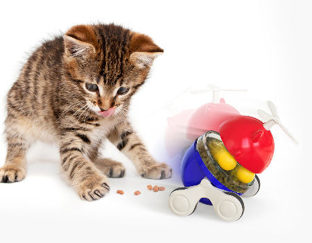 https://p.globalsources.com/IMAGES/PDT/B5772252066/cat-running-treat-toy.jpg