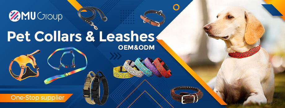 Pet Collars & Leashes 