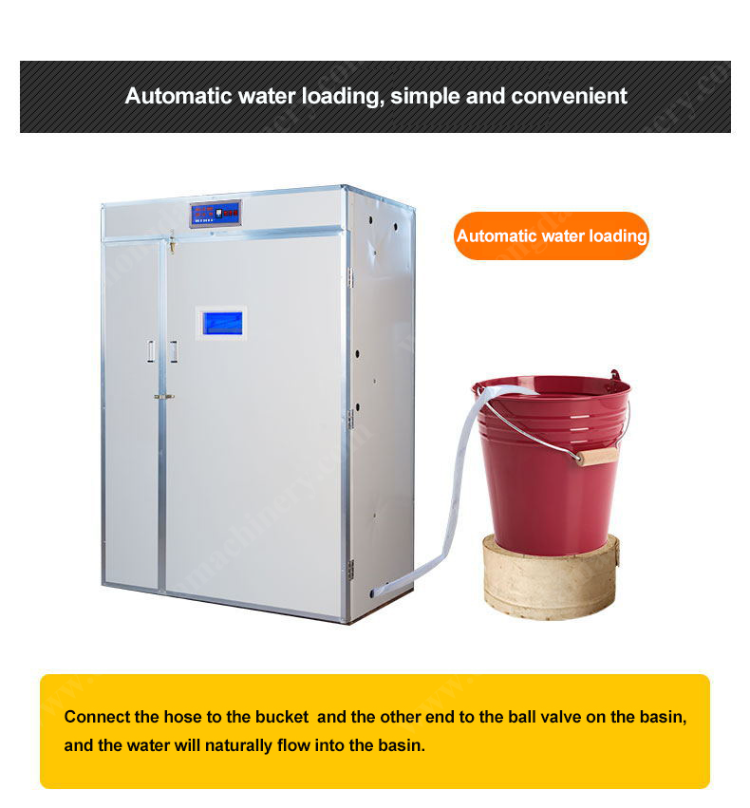 Buy Wholesale China Solar Incubators Work With Battery Small Egg