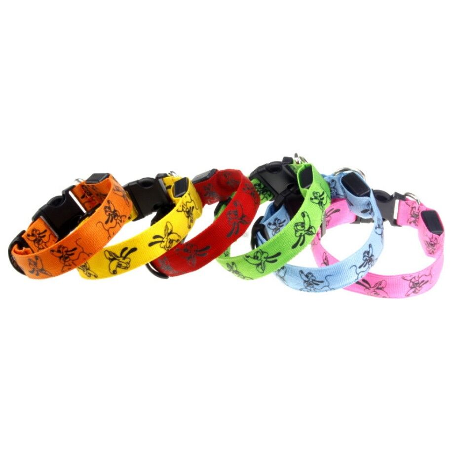 Buy Wholesale China 2023 Pet Personalized Led Charging Nylon Luminous Print Pet Dog Collars