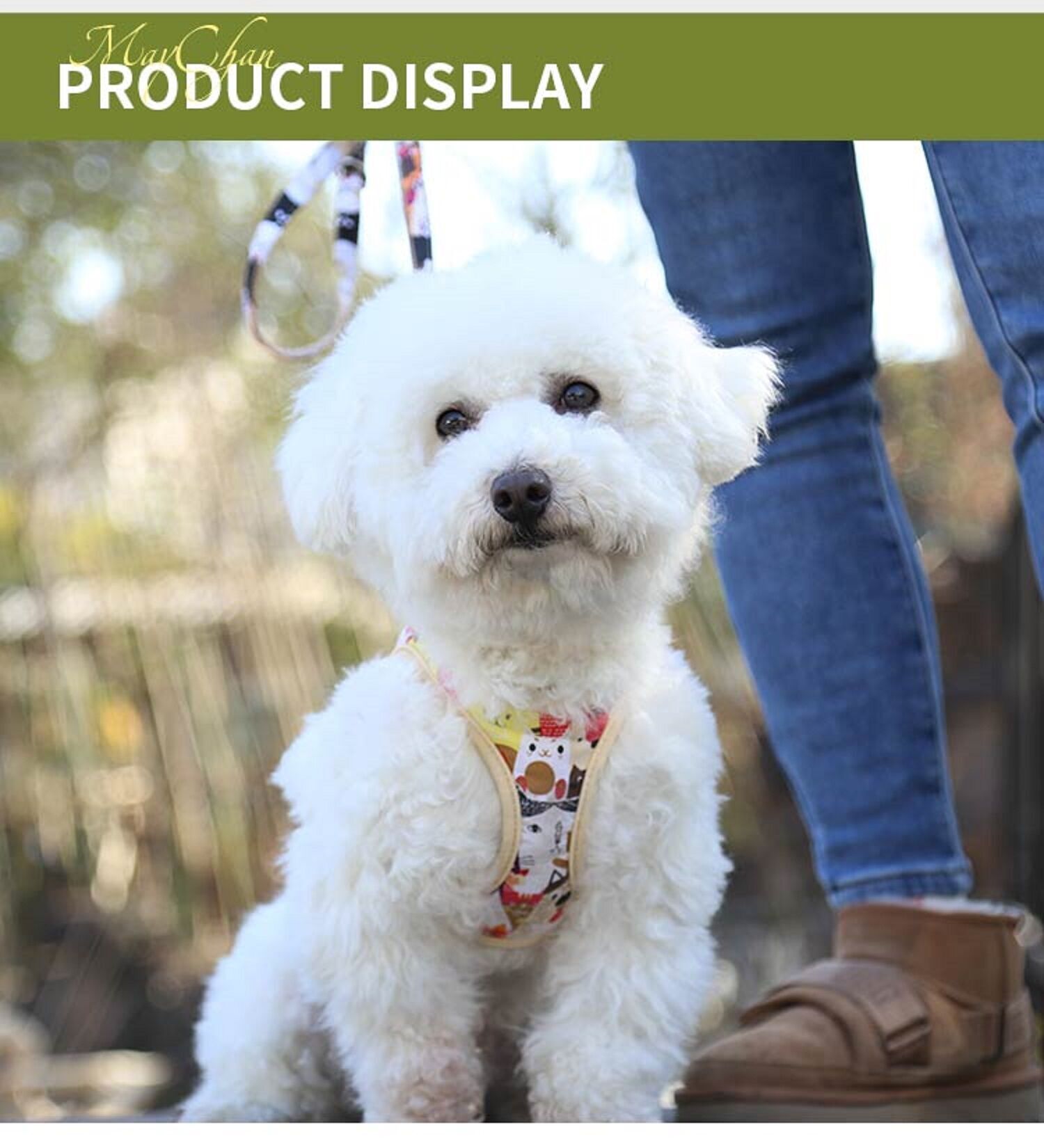 Buy Wholesale China Maychan Outdoor Cotton Breathable Reversible Cat