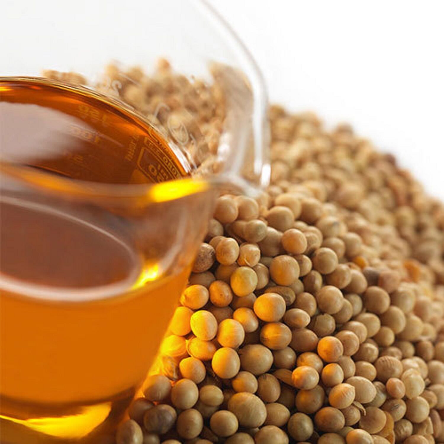 Buy Wholesale France 100 Refined Soybean Oil, Quality Soya Bean Oil