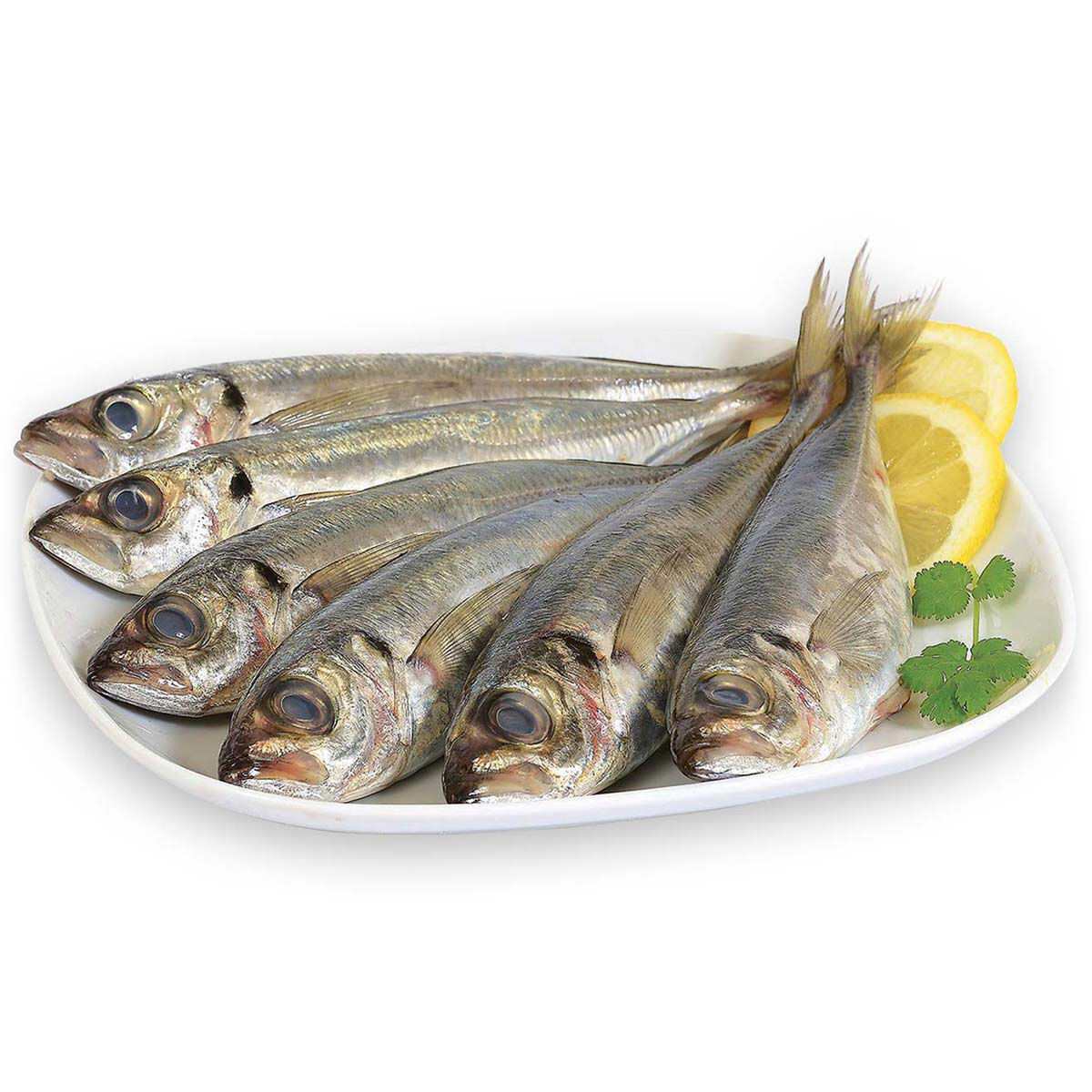 Buy Wholesale South Africa Wholesale Fresh Frozen Mackerel Fish