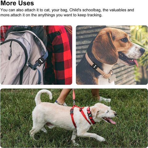Airtag Dog Collar Reflective Apple Airtag Dog Collar Thick Air Tag Dog  Collar Holder For Small Medium Large Dogs - Collars, Harnesses & Leads -  AliExpress