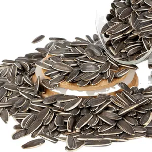 Buy Wholesale United Kingdom Sunflower Seed 361 Max Black Bag Crop