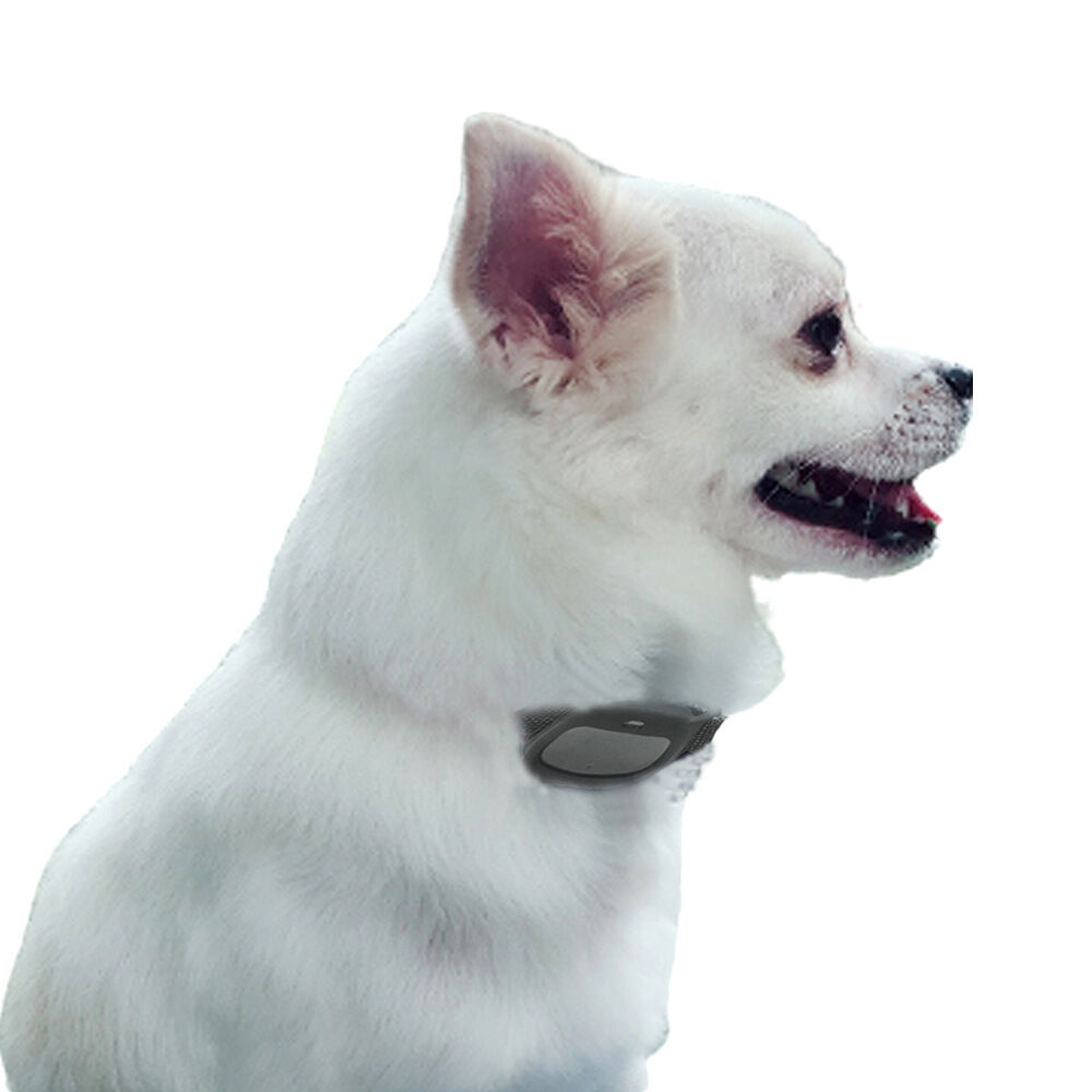 Valla inalámbrica GPS para perros, valla eléctrica para perros con GPS,  collar inalámbrico recargable e impermeable, rango de 99 a 3000 pies,  sistema