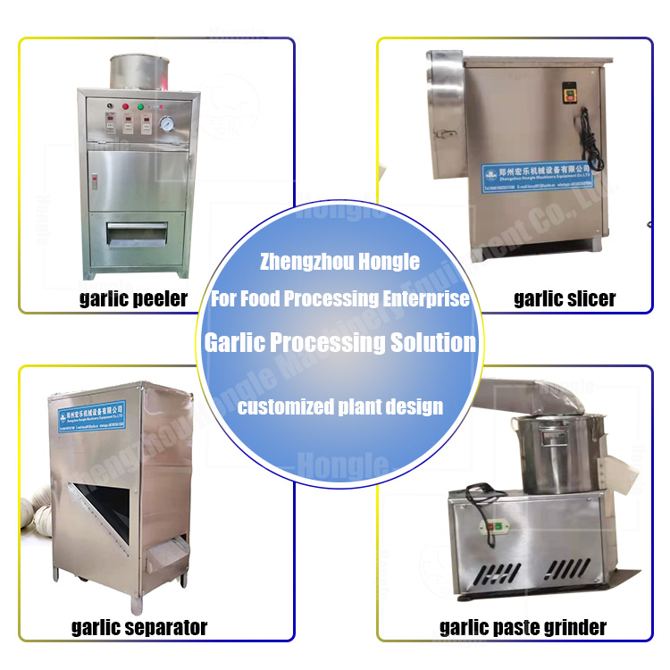 Garlic Processing Plant - Wet Garlic Peeling Machine Manufacturer