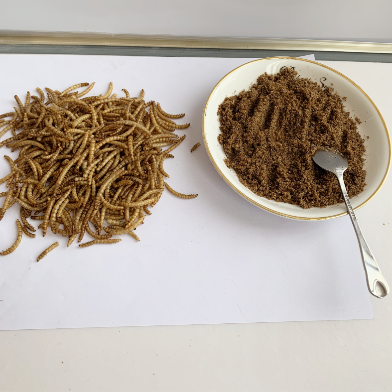 Buy Wholesale China Dried Mealworms Wild Garden Bird Feed Food Meal