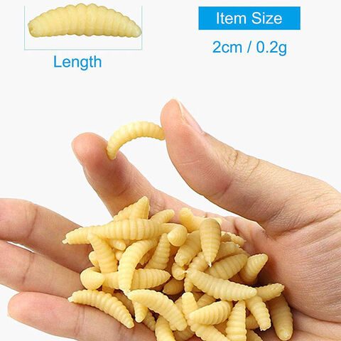 Buy China Wholesale Wax Worms Artificial Bee Moth Larva Wiggler Glow Maggot  Grub Fishing & Grub Fishing Product $0.01
