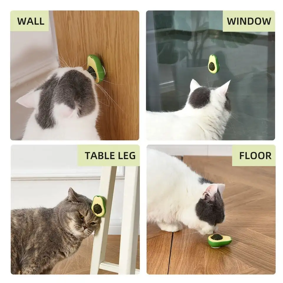 Buy Wholesale China Hot Sale Avocado 360 Degree Rotatable Cute Catnip