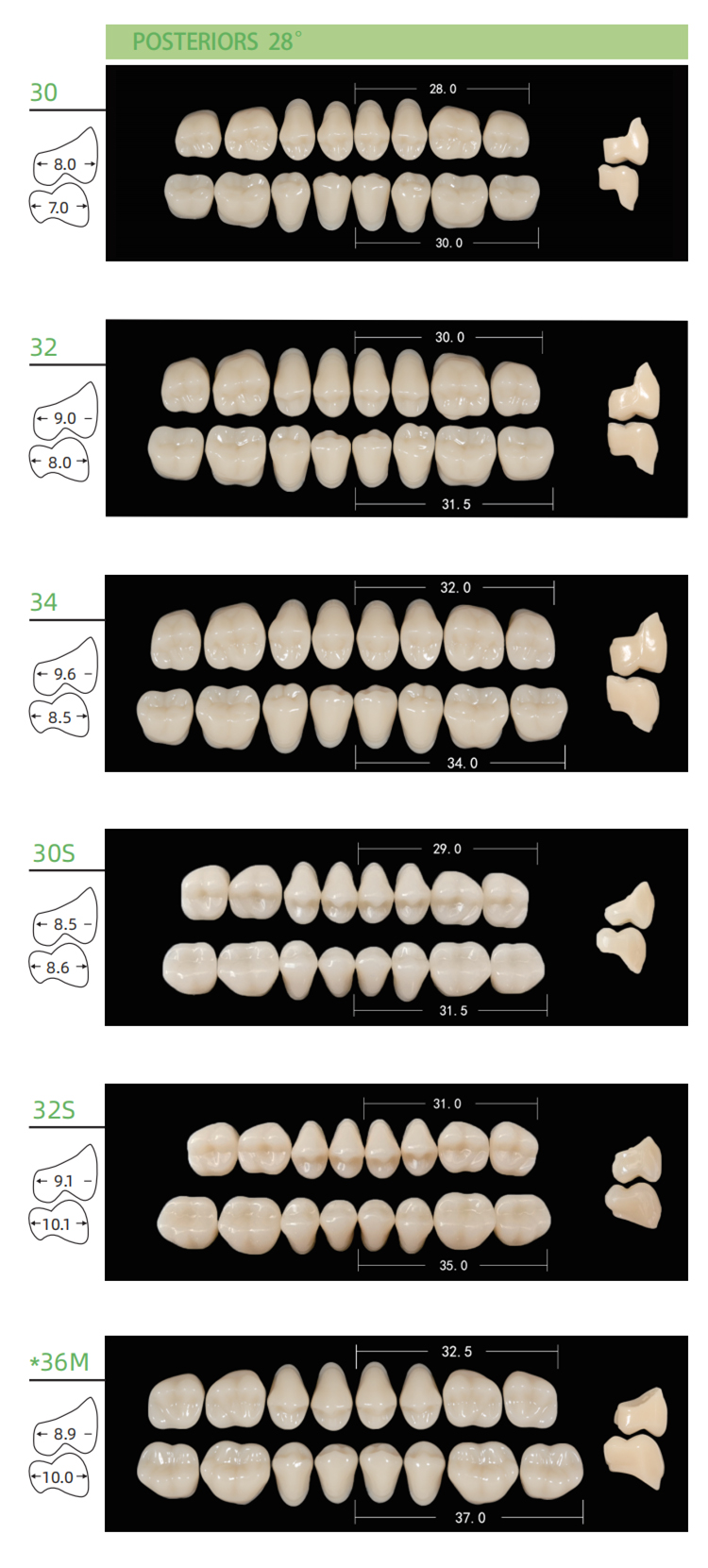 Tooth Sizes Examples Buy China Wholesale Dental Acrylic Teeth Low Price For Denture Ce ...