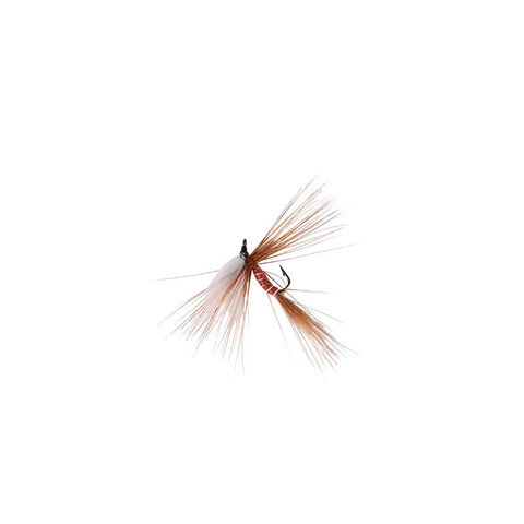 Creative Angler Egg Fly Fishing Flies for Fly Fishing : :  Sports & Outdoors