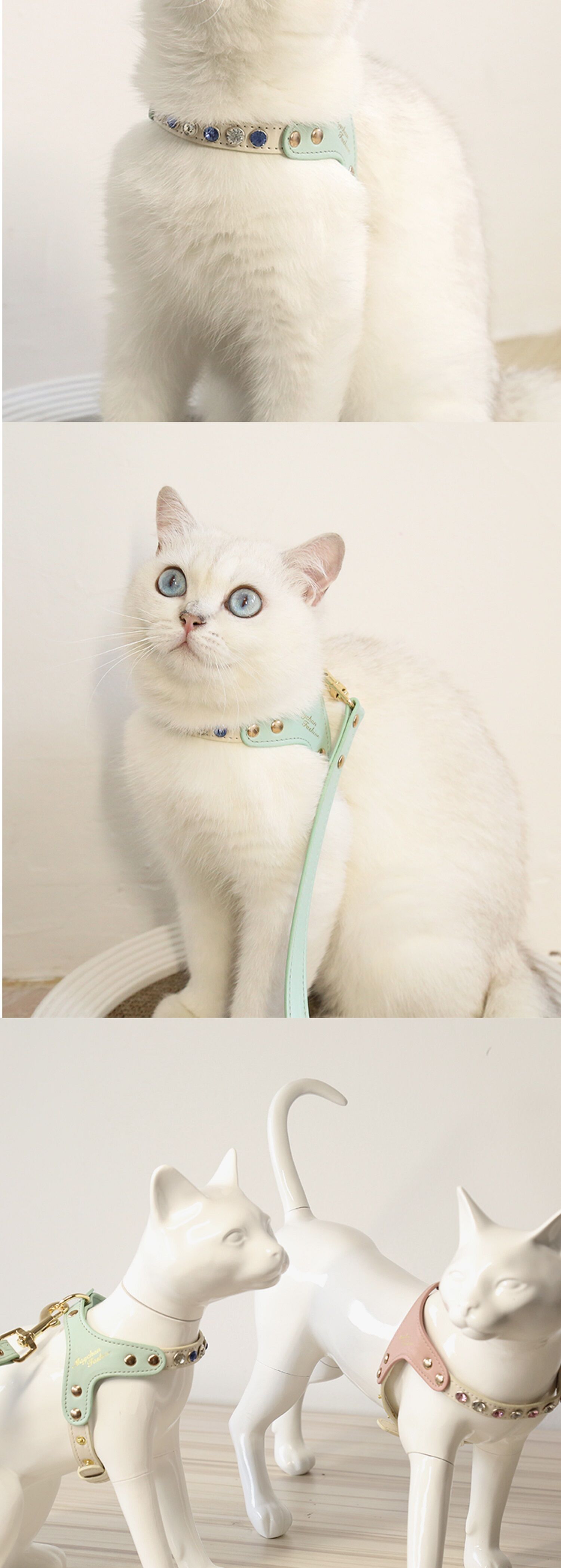 Buy Wholesale China Maychan Custom Logo Pu Leather Pet Vest Harness