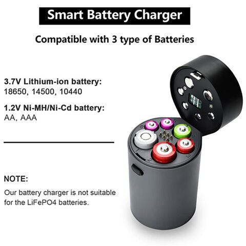 Mini chargeur chargeur de batterie rechargeable AA/AAA avec voyant de  charge LED (comprend 2 piles