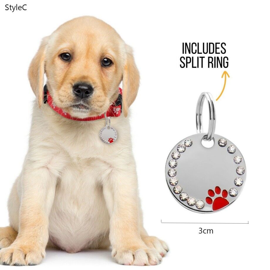 Buy Wholesale China Antilost Custom Dog Id Tag Stainless Steel Bone Paw Pet Id Name Tag