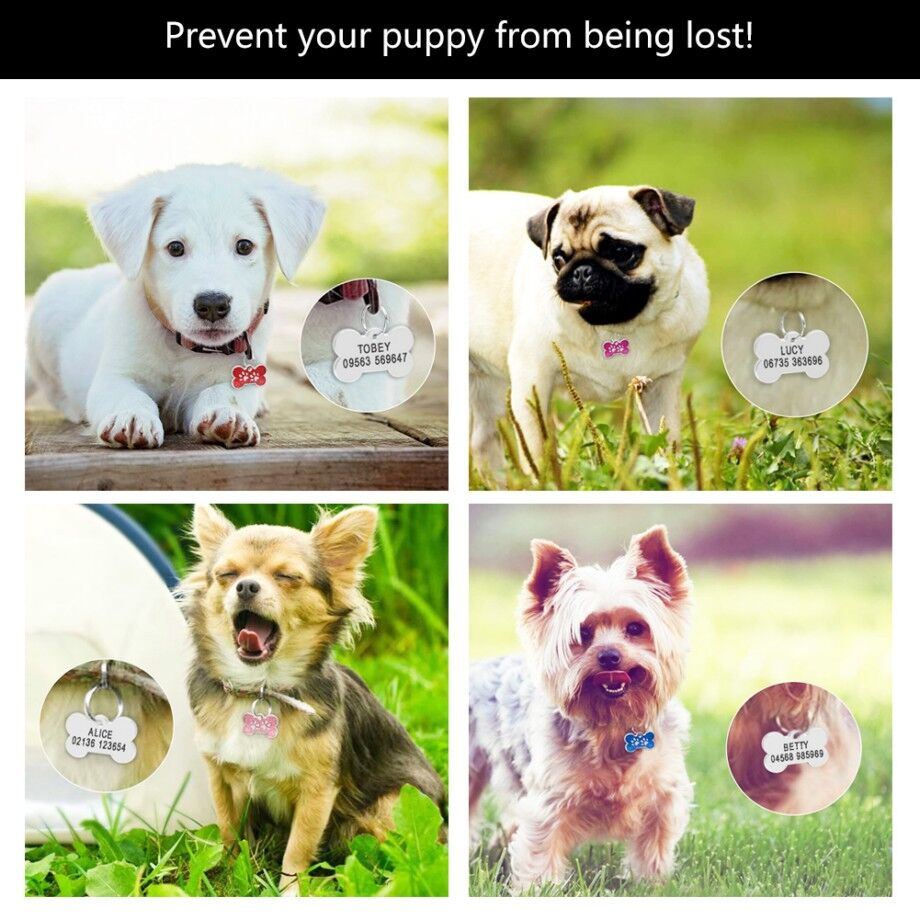 Buy Wholesale China Antilost Custom Dog Id Tag Stainless Steel Bone Paw Pet Id Name Tag
