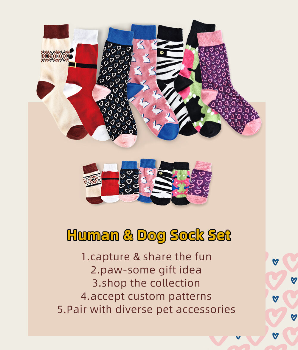 human and dog sock set