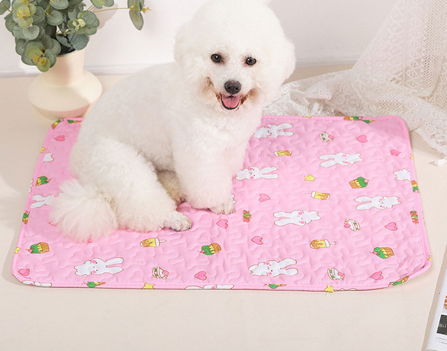 Buy Wholesale China Pet Urine Pad, Leak Proof And Waterproof, Dog Urine