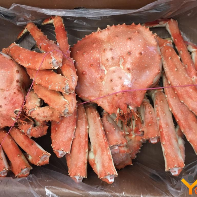 Buy Wholesale South Africa High Quality Live King Crab For Sale Bulk