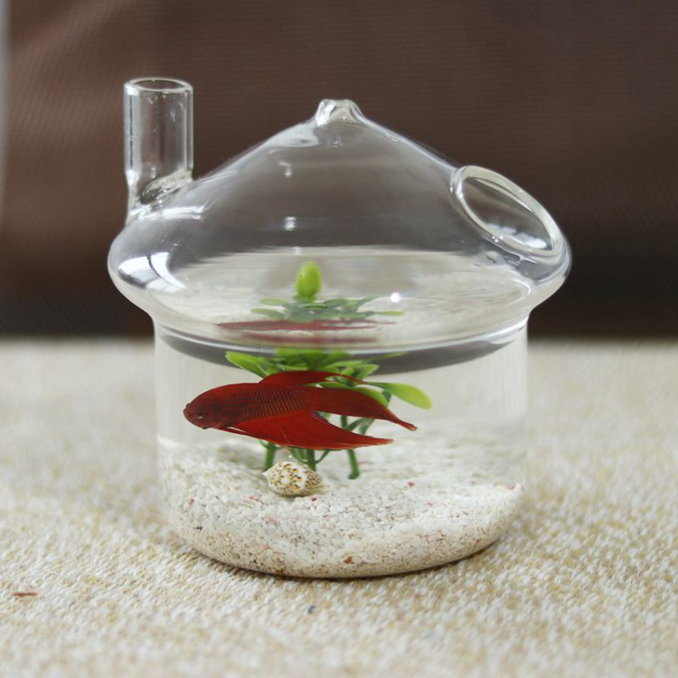 Light Weight Mushroom Shape Mini Fish Flower Plant Bottle Decoration ...