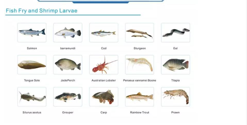 Utility Grade Fish Foldable Pvc Tarpaulin Fish Farming Tank Economic Fish Farming ...